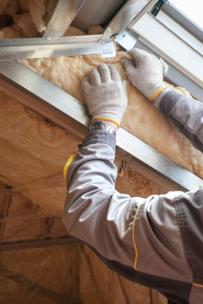 Best Insulation for Specific Applications in Gothenburg, NE